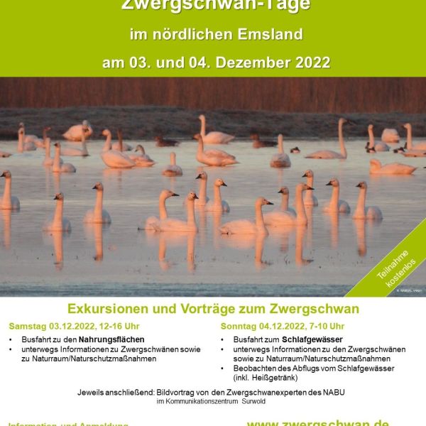 Image - Poster ZS Tage 2022 Emsland